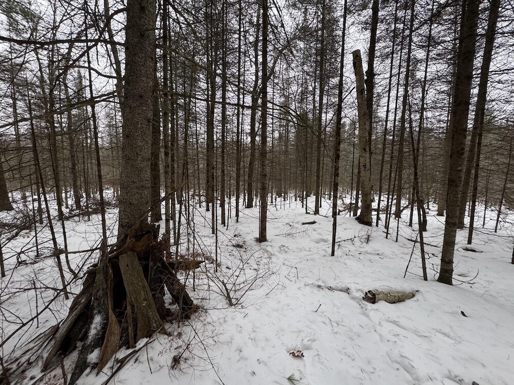 South Loxley Road Houghton Lake, MI 48629 - Photo 47 of 73 IMG_8587