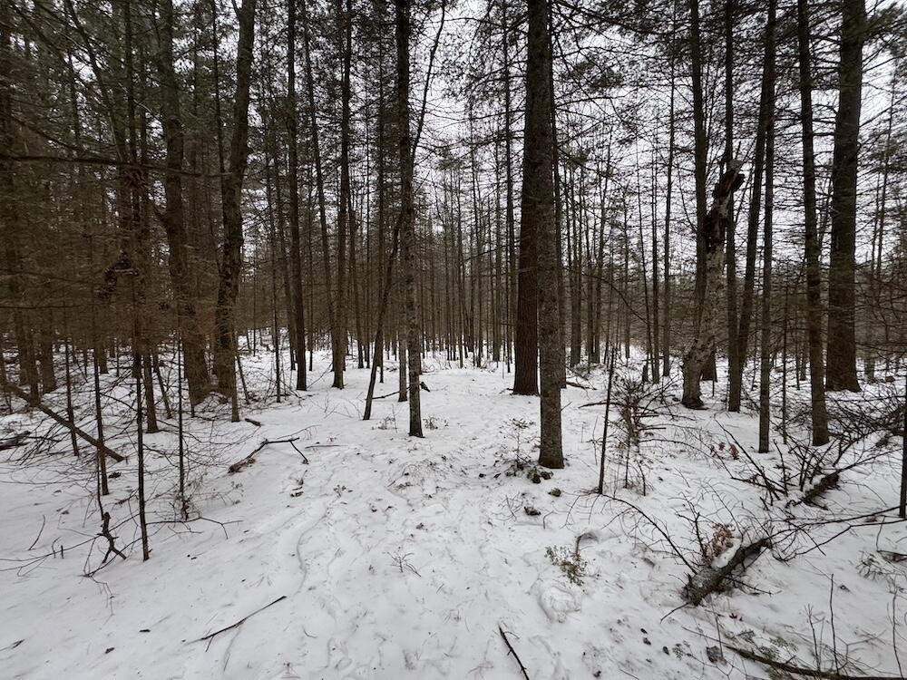 South Loxley Road Houghton Lake, MI 48629 - Photo 48 of 73 IMG_8588