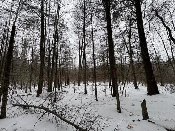 $549,900 | South Loxley Road, Houghton Lake, MI 48629
