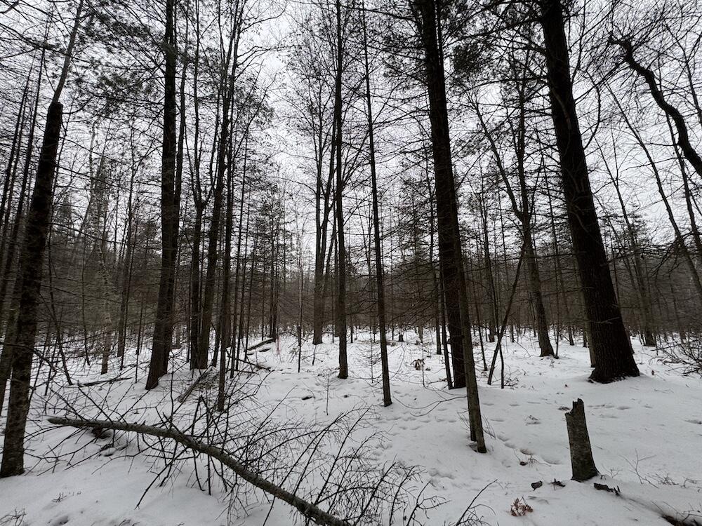 South Loxley Road Houghton Lake, MI 48629 - Photo 49 of 73 IMG_8589