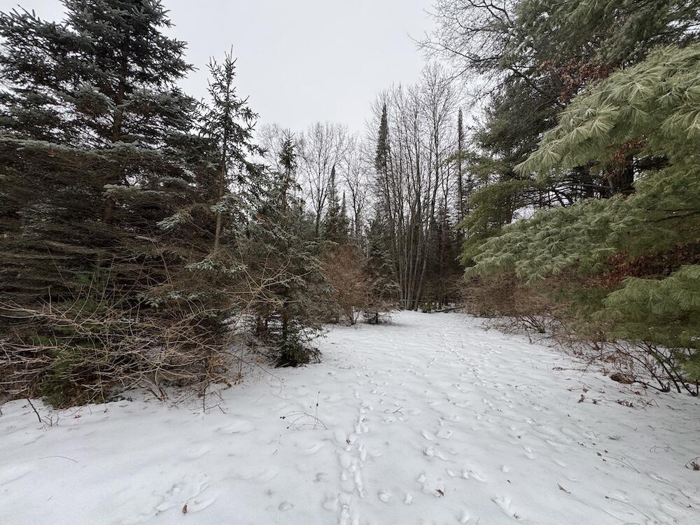 South Loxley Road Houghton Lake, MI 48629 - Photo 5 of 73 IMG_8539