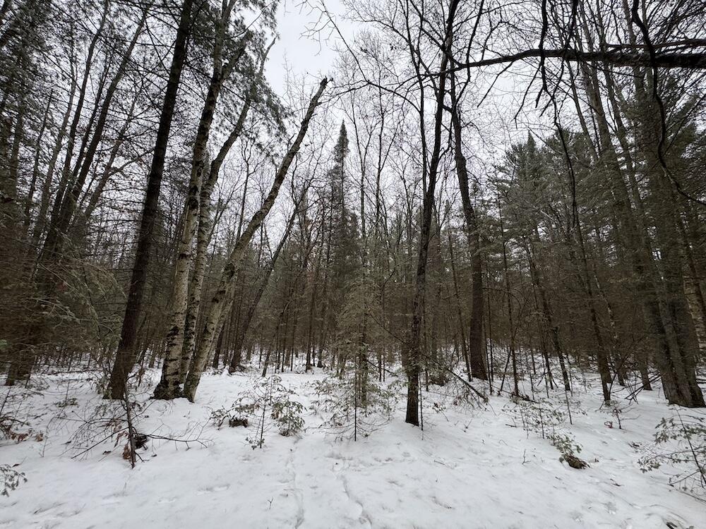 South Loxley Road Houghton Lake, MI 48629 - Photo 51 of 73 IMG_8591