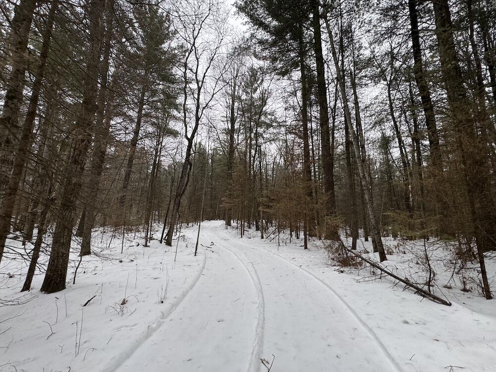 South Loxley Road Houghton Lake, MI 48629 - Photo 52 of 73 IMG_8592