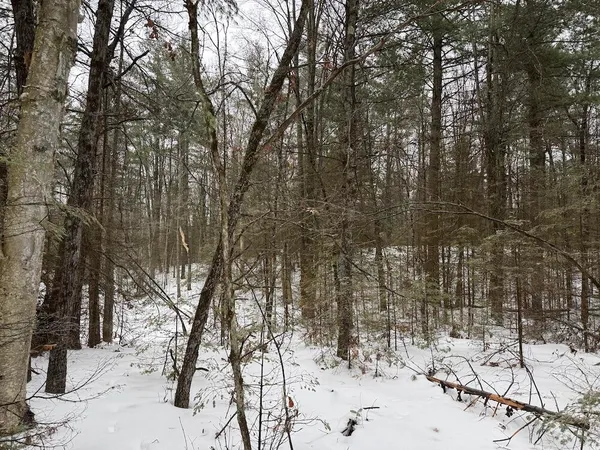 $549,900 | South Loxley Road, Houghton Lake, MI 48629