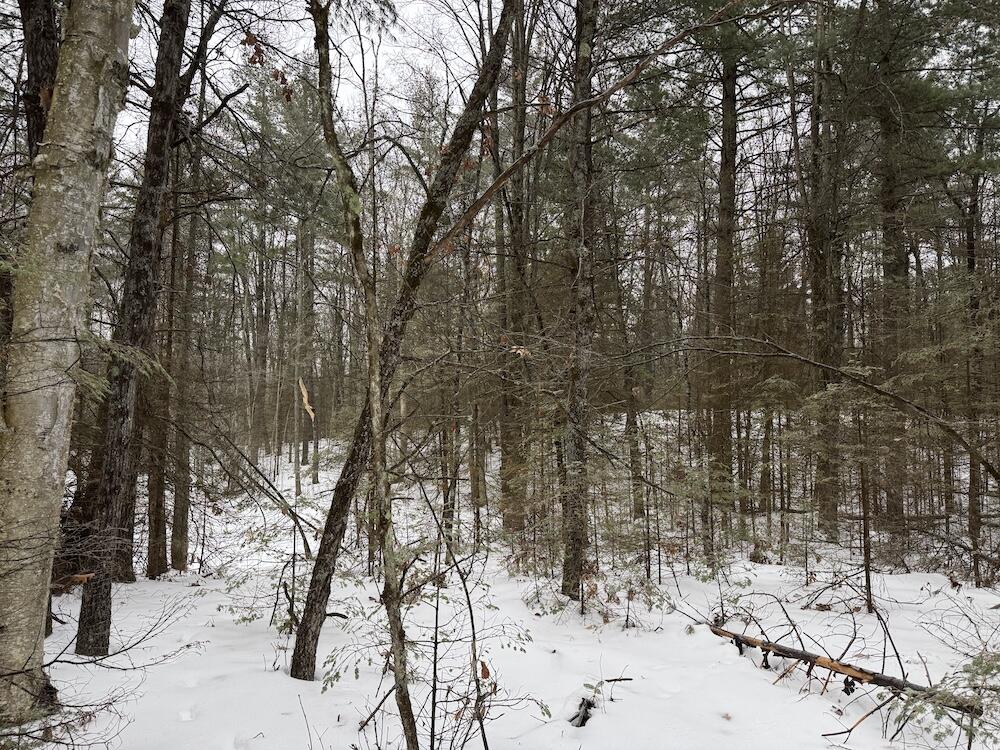 South Loxley Road Houghton Lake, MI 48629 - Photo 54 of 73 IMG_8594