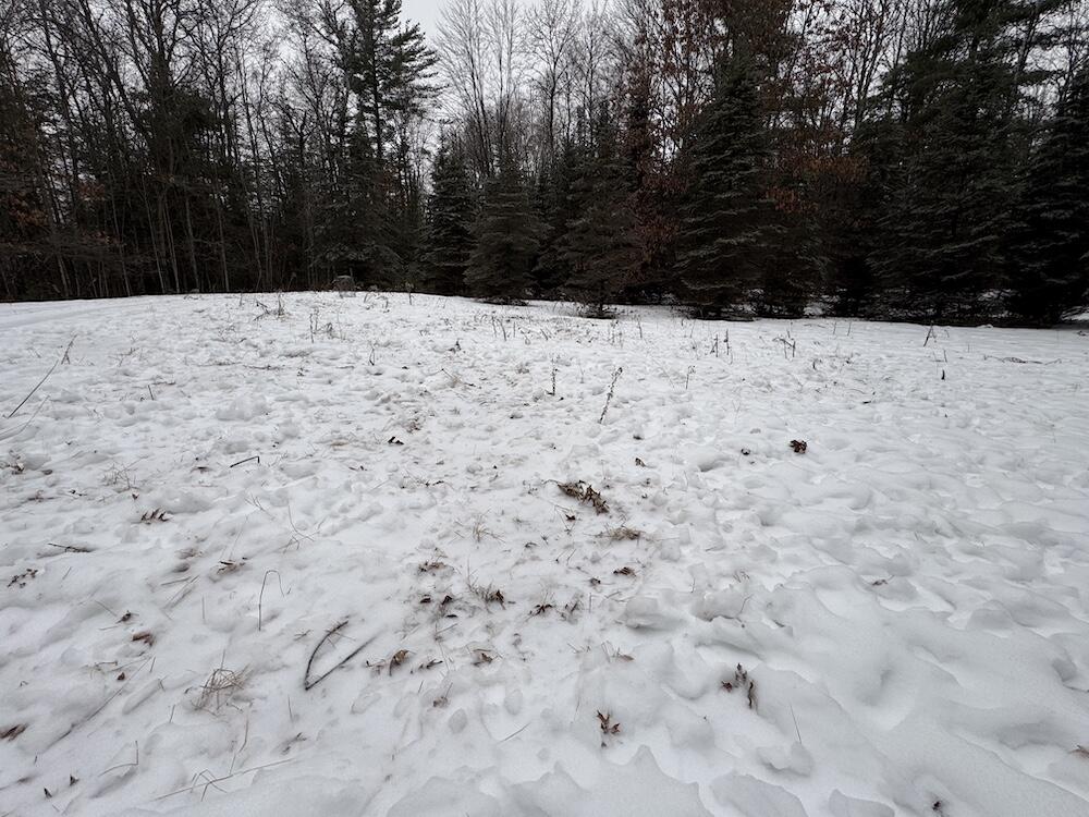 South Loxley Road Houghton Lake, MI 48629 - Photo 57 of 73 IMG_8598