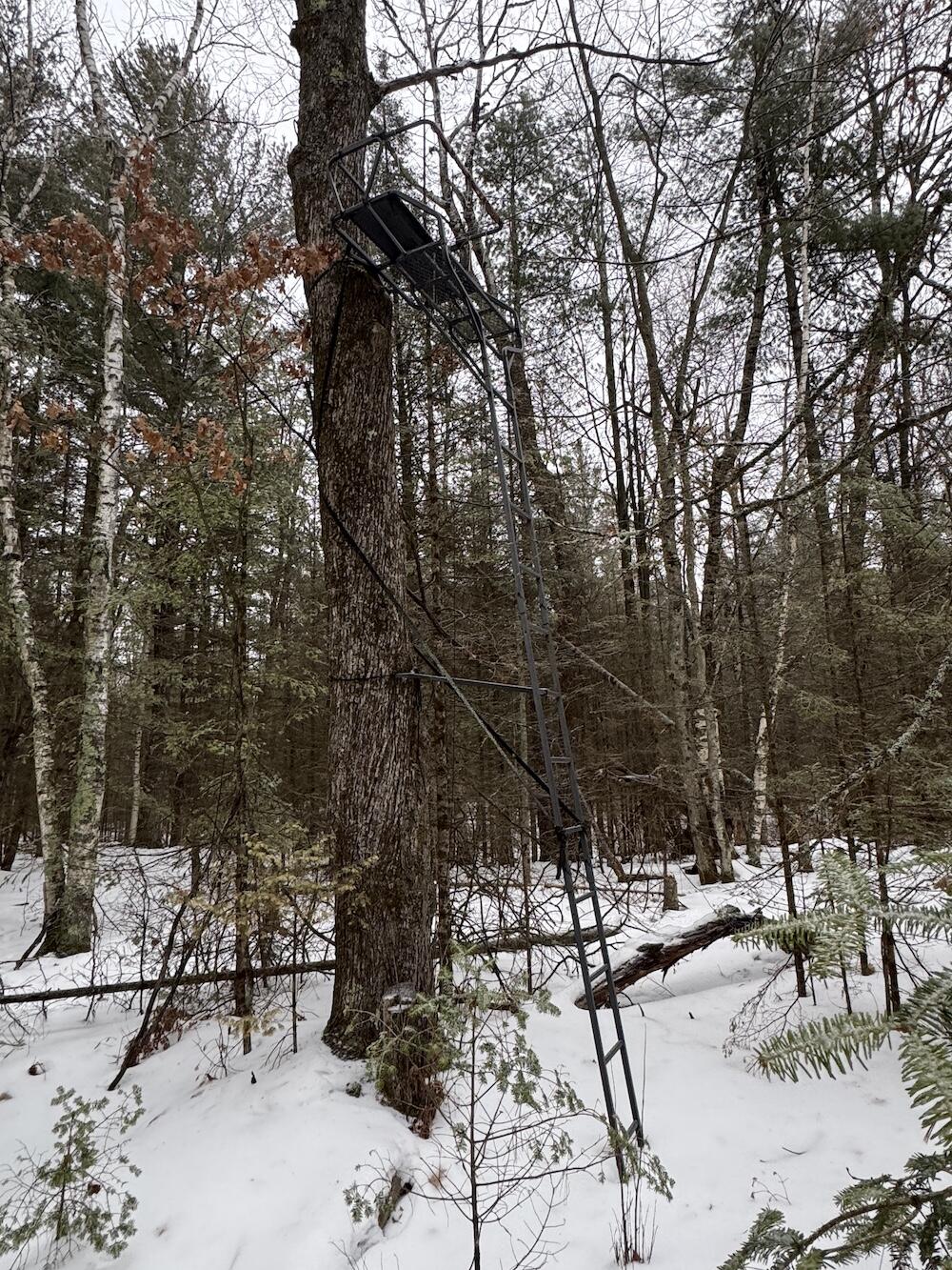 South Loxley Road Houghton Lake, MI 48629 - Photo 58 of 73 IMG_8599