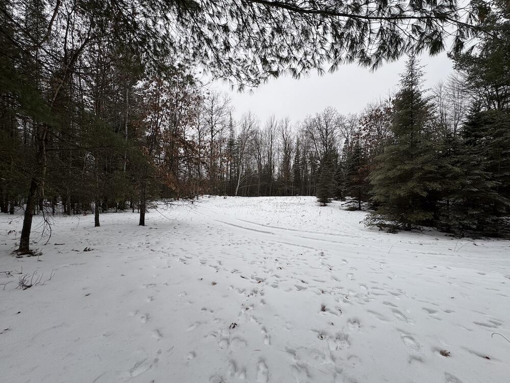 South Loxley Road Houghton Lake, MI 48629 - Photo 59 of 73 IMG_8600