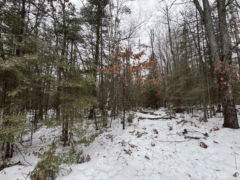 South Loxley Road Houghton Lake, MI 48629 - Photo 60 of 73 IMG_8601