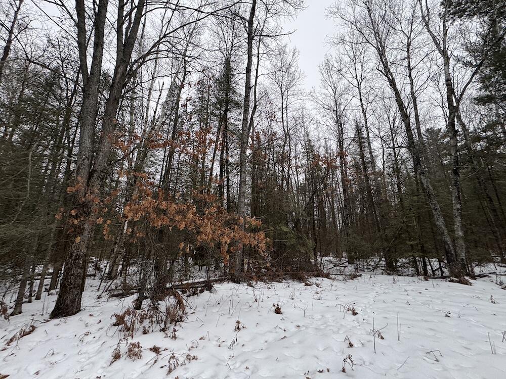 South Loxley Road Houghton Lake, MI 48629 - Photo 61 of 73 IMG_8602