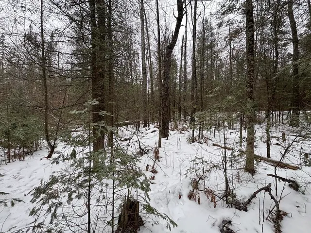 $569,900 | South Loxley Road, Houghton Lake, MI 48629