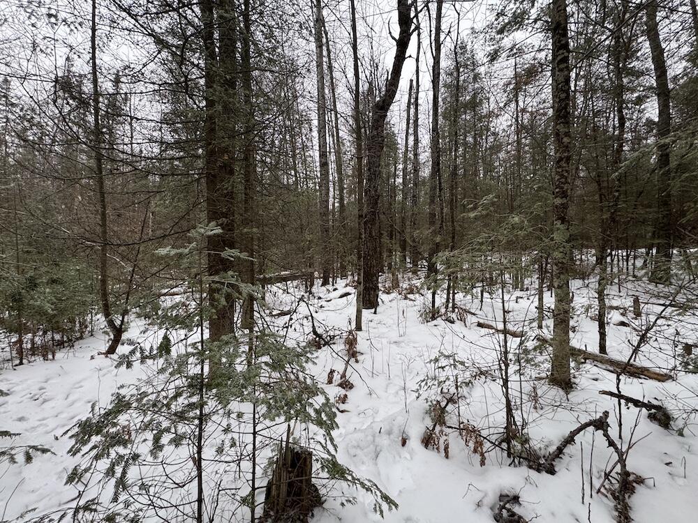 South Loxley Road Houghton Lake, MI 48629 - Photo 62 of 73 IMG_8603