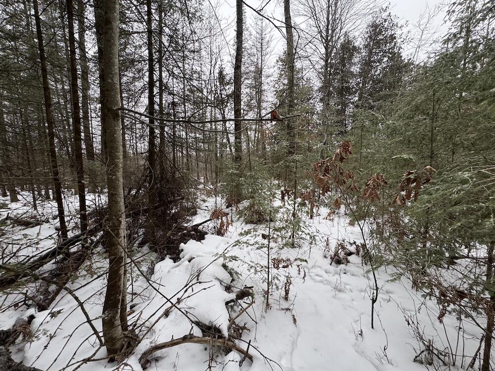 South Loxley Road Houghton Lake, MI 48629 - Photo 63 of 73 IMG_8604