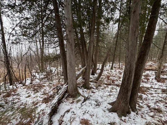 $569,900 | South Loxley Road, Houghton Lake, MI 48629