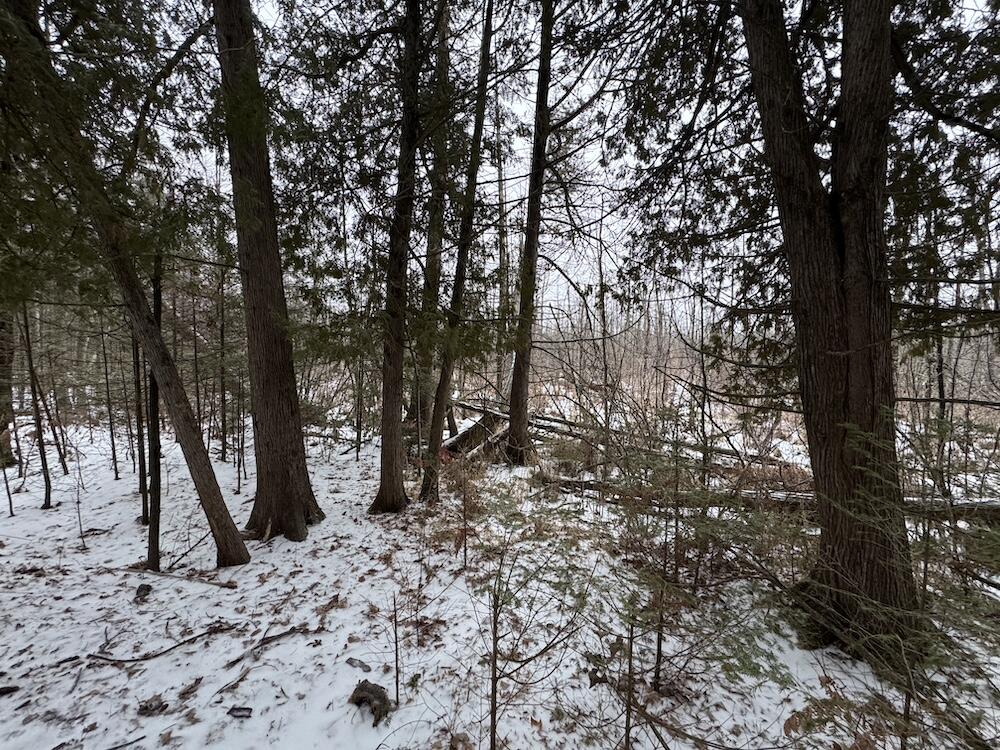 South Loxley Road Houghton Lake, MI 48629 - Photo 66 of 73 IMG_8607