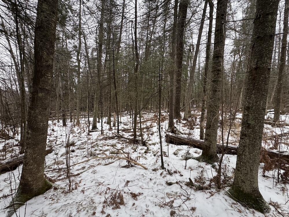 South Loxley Road Houghton Lake, MI 48629 - Photo 67 of 73 IMG_8608