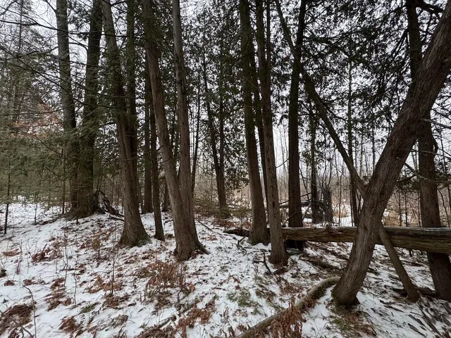 $569,900 | South Loxley Road, Houghton Lake, MI 48629