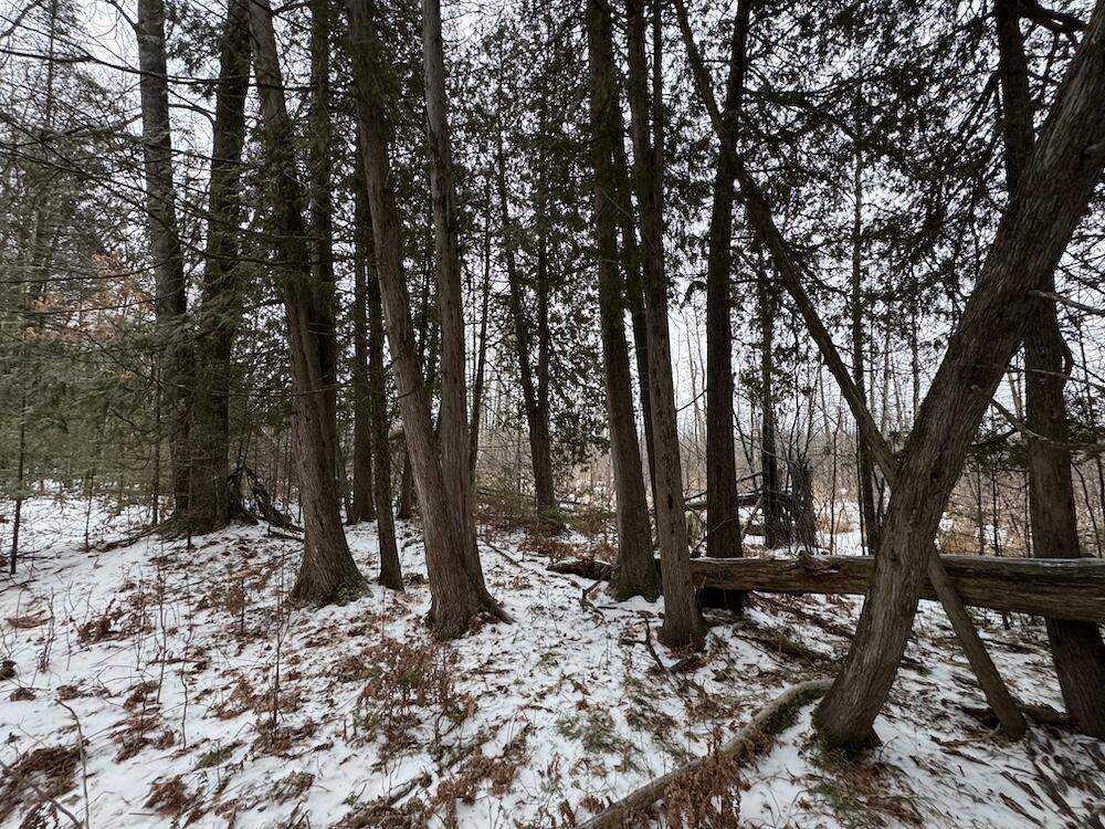 South Loxley Road Houghton Lake, MI 48629 - Photo 68 of 73 IMG_8609