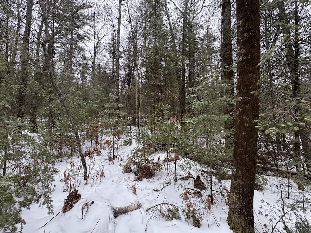 South Loxley Road Houghton Lake, MI 48629 - Photo 69 of 73 IMG_8610