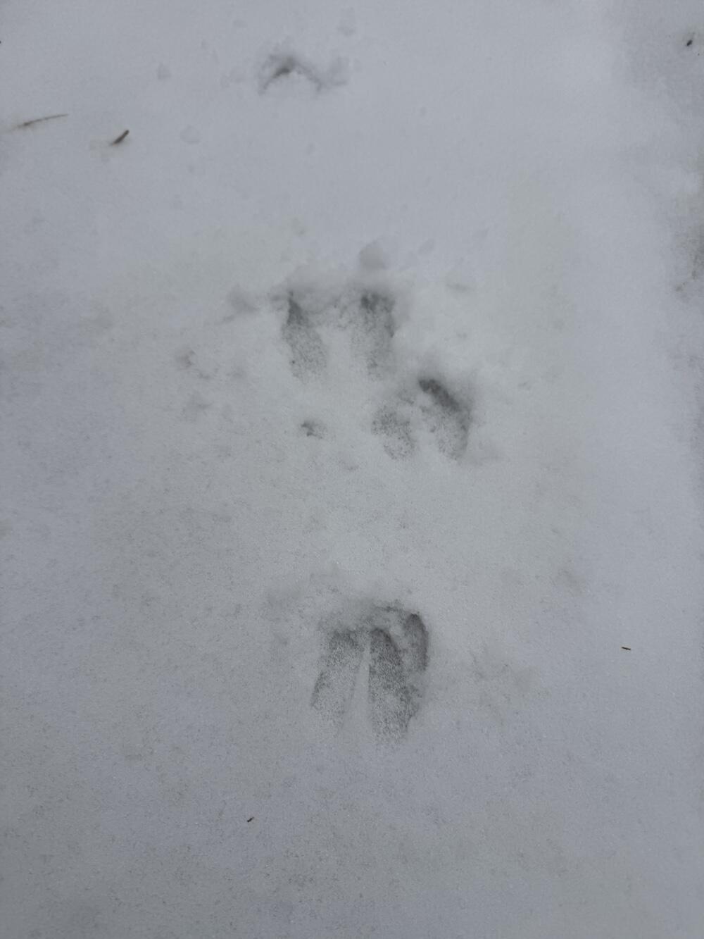 South Loxley Road Houghton Lake, MI 48629 - Photo 70 of 73 IMG_8611