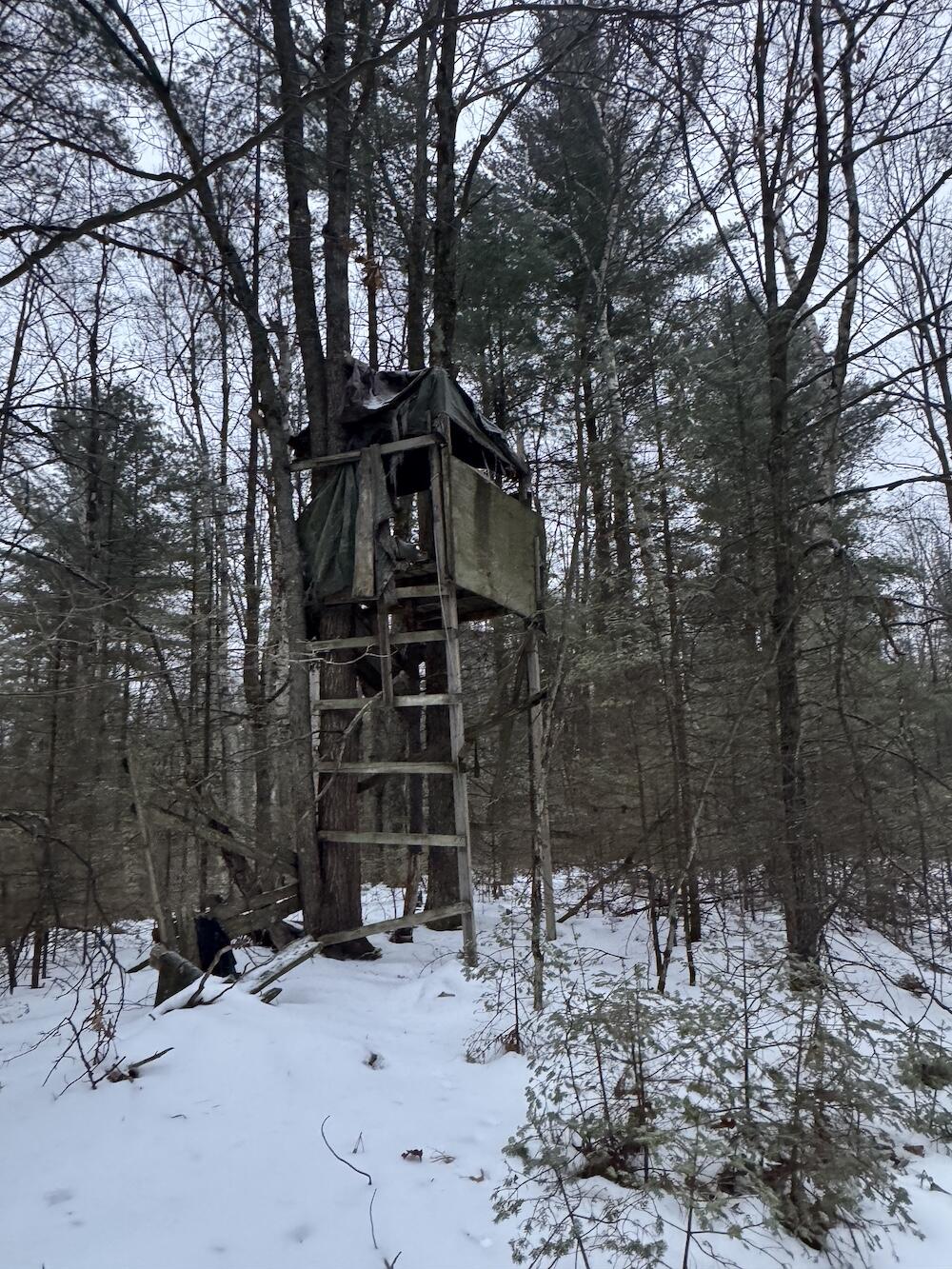 South Loxley Road Houghton Lake, MI 48629 - Photo 71 of 73 IMG_8613