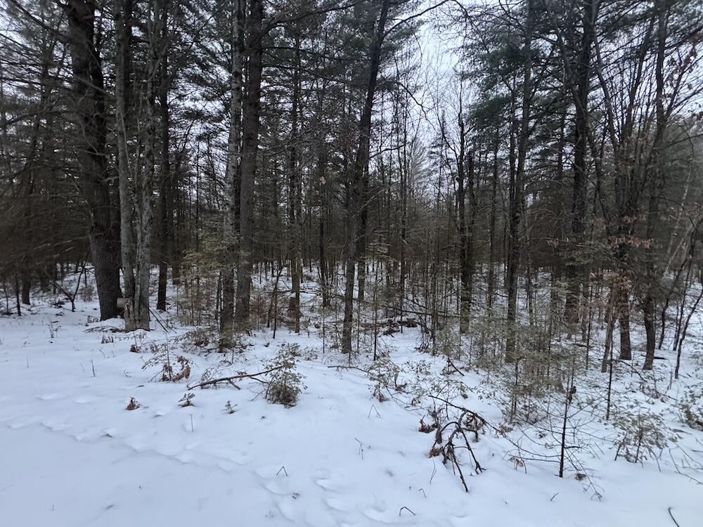 South Loxley Road Houghton Lake, MI 48629 - Photo 72 of 73 IMG_8614