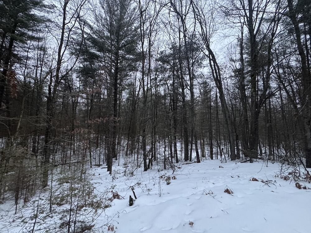 South Loxley Road Houghton Lake, MI 48629 - Photo 73 of 73 IMG_8615