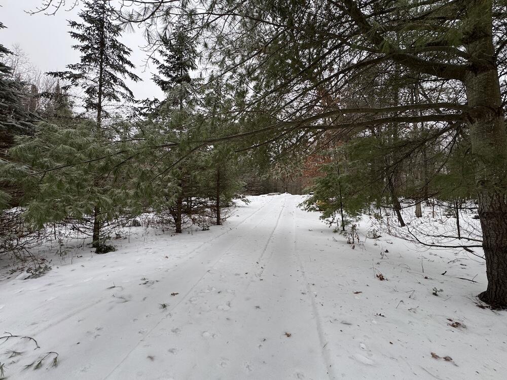 South Loxley Road Houghton Lake, MI 48629 - Photo 8 of 73 IMG_8542