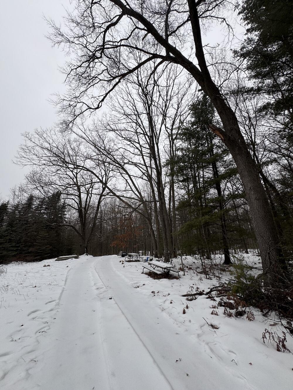 South Loxley Road Houghton Lake, MI 48629 - Photo 9 of 73 IMG_8543