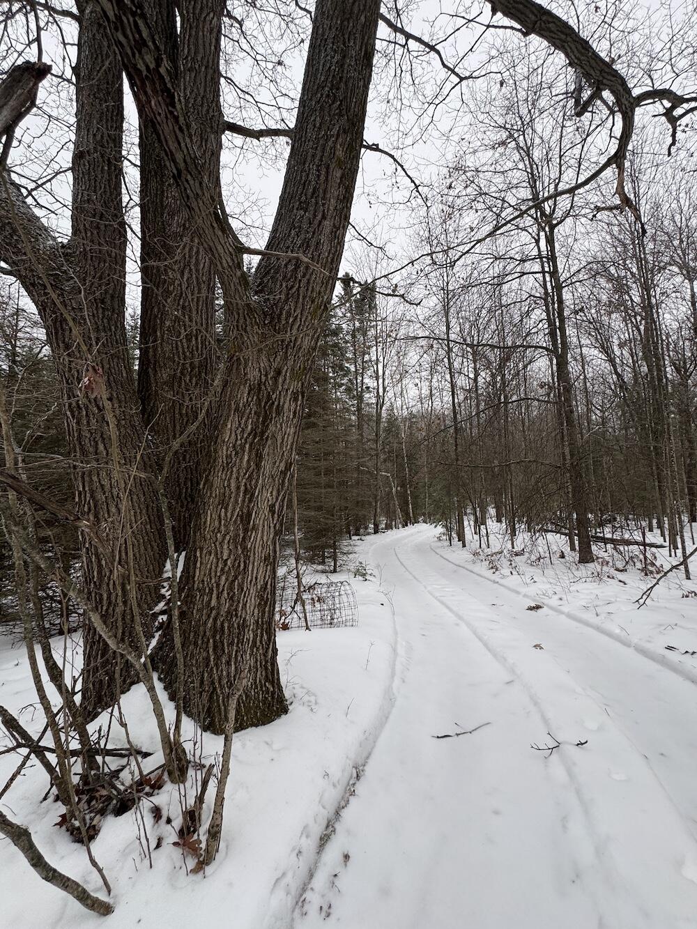 South Loxley Road Houghton Lake, MI 48629 - Photo 10 of 73 IMG_8544