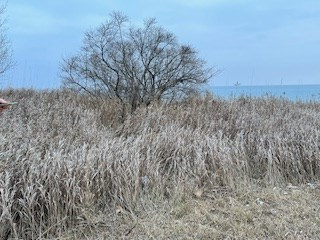 Tbd Lakeview Drive Kewaunee, WI 54216 - Photo 5 of 12