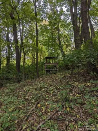 $175,000 | 20-ac Vl 20-ac Ville, Horton, MI 49246