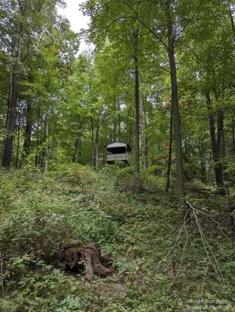 $175,000 | 20-ac Vl 20-ac Ville, Horton, MI 49246