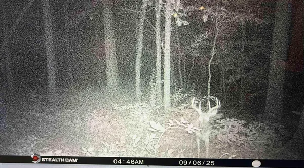 $175,000 | 20-ac Vl 20-ac Ville, Horton, MI 49246