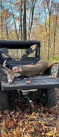 $175,000 | 20-ac Vl 20-ac Ville, Horton, MI 49246