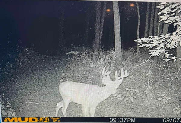 $175,000 | 20-ac Vl 20-ac Ville, Horton, MI 49246