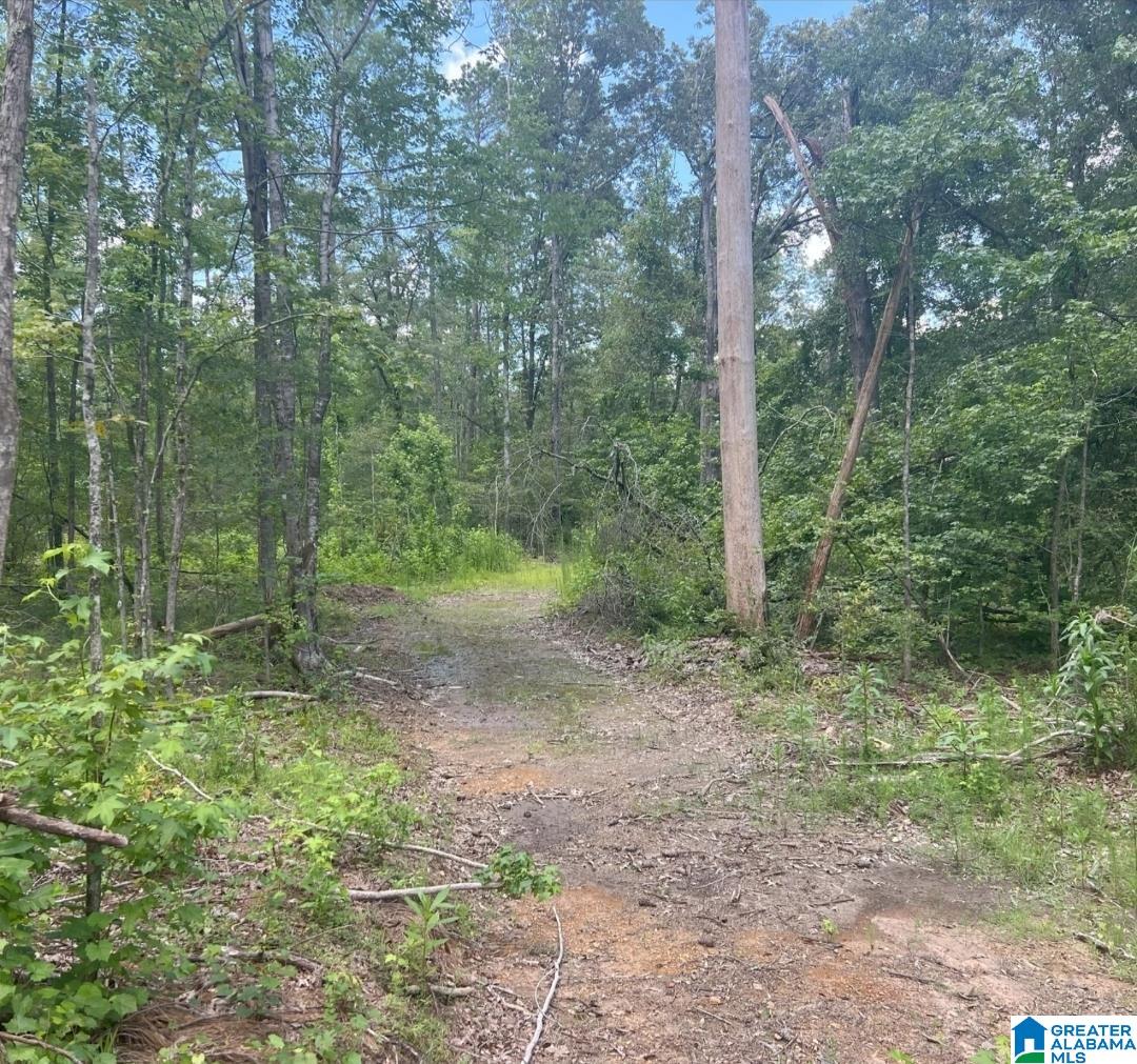 0 Fleming Road Vincent, AL 35178 - Photo 1 of 6 Gallery Image 1