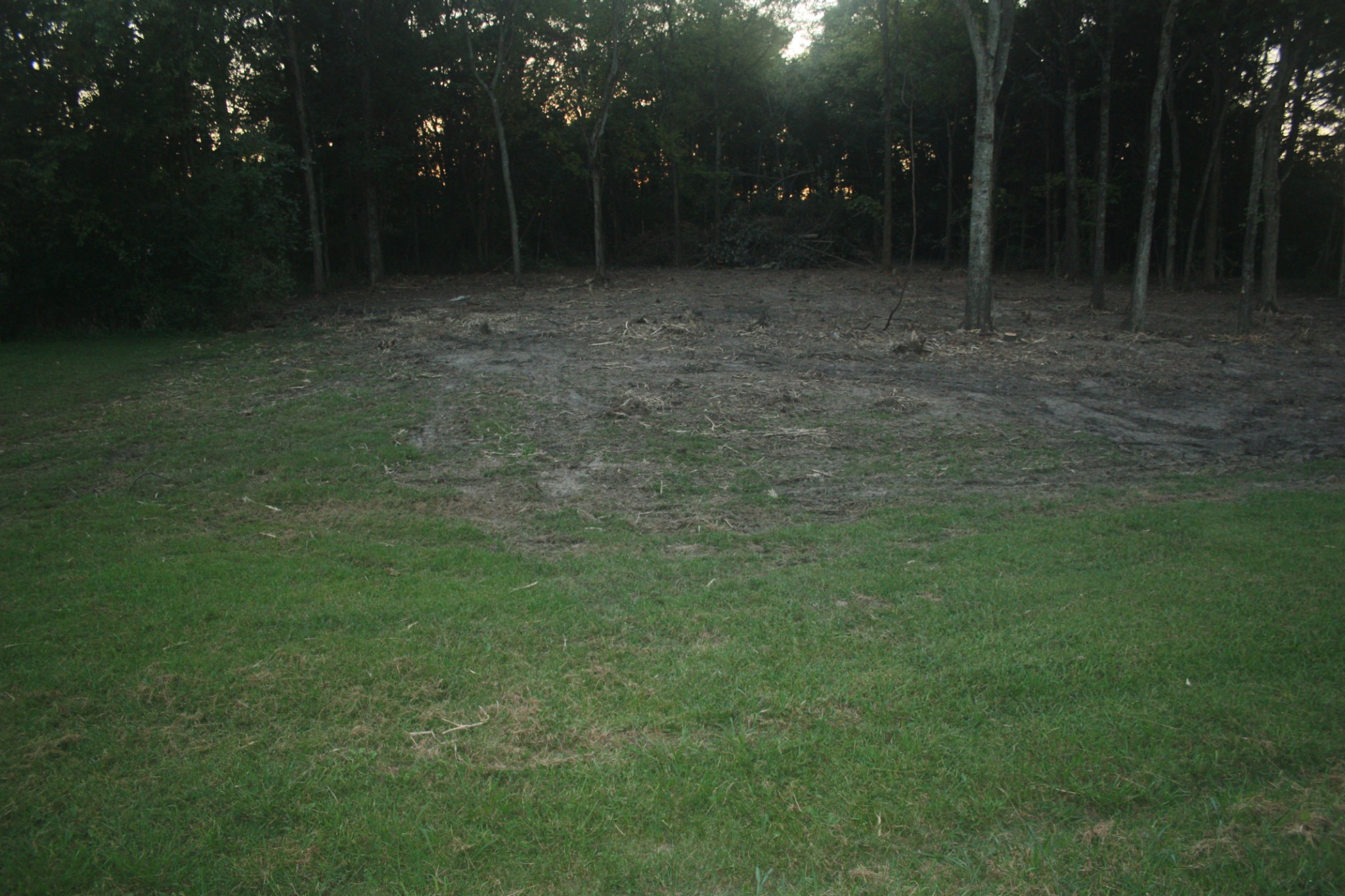 8645 Taliaferro Road Eagleville, TN 37060 - Photo 2 of 8 Gallery Image 2