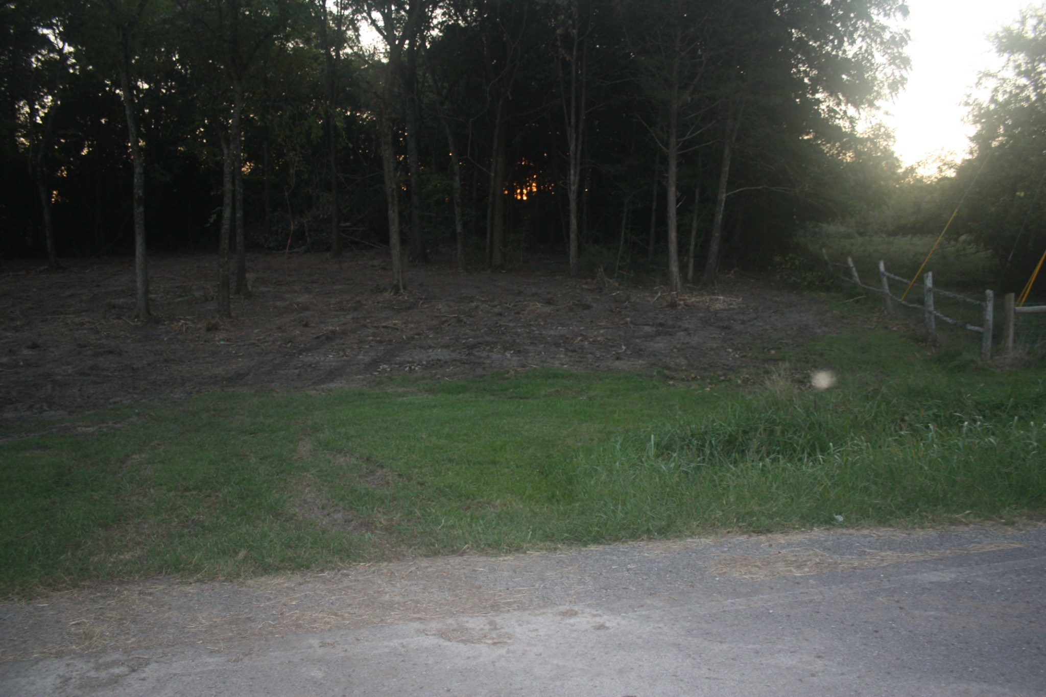 8645 Taliaferro Road Eagleville, TN 37060 - Photo 3 of 8 Gallery Image 3