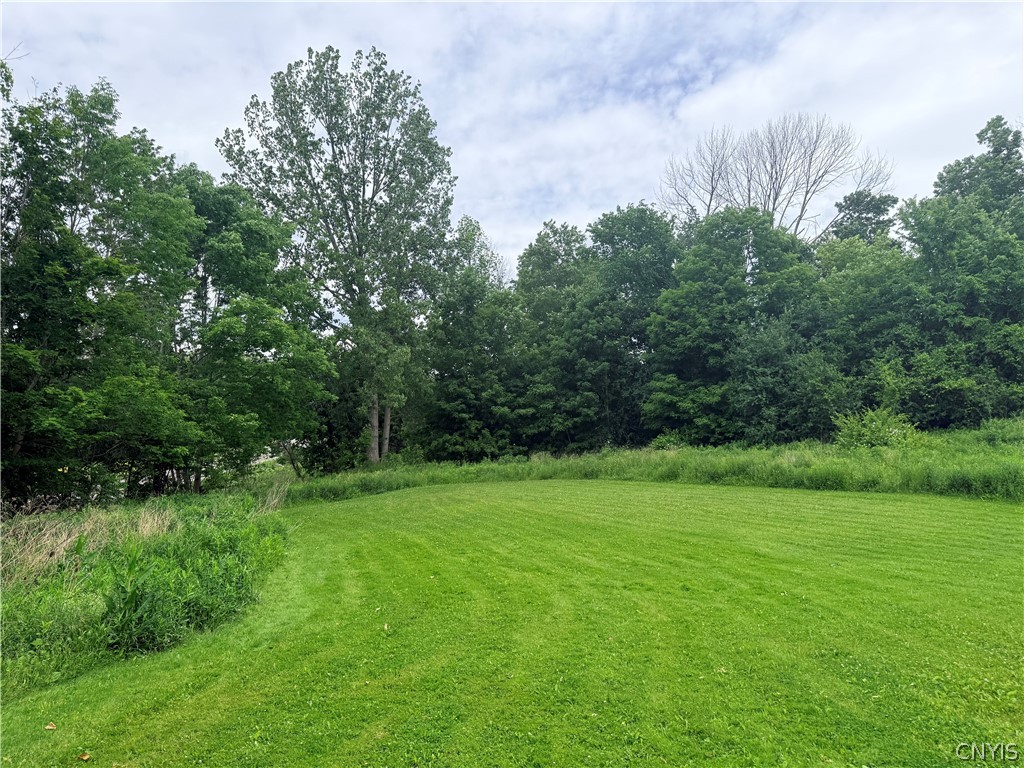 2354 State Route Moravia, NY 13118 - Photo 25 of 31