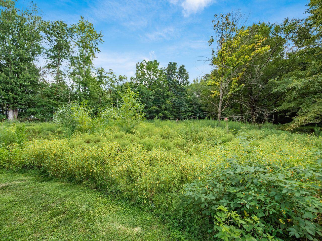 5770 Plumb Road Galena, OH 43021 - Photo 45 of 62 Property