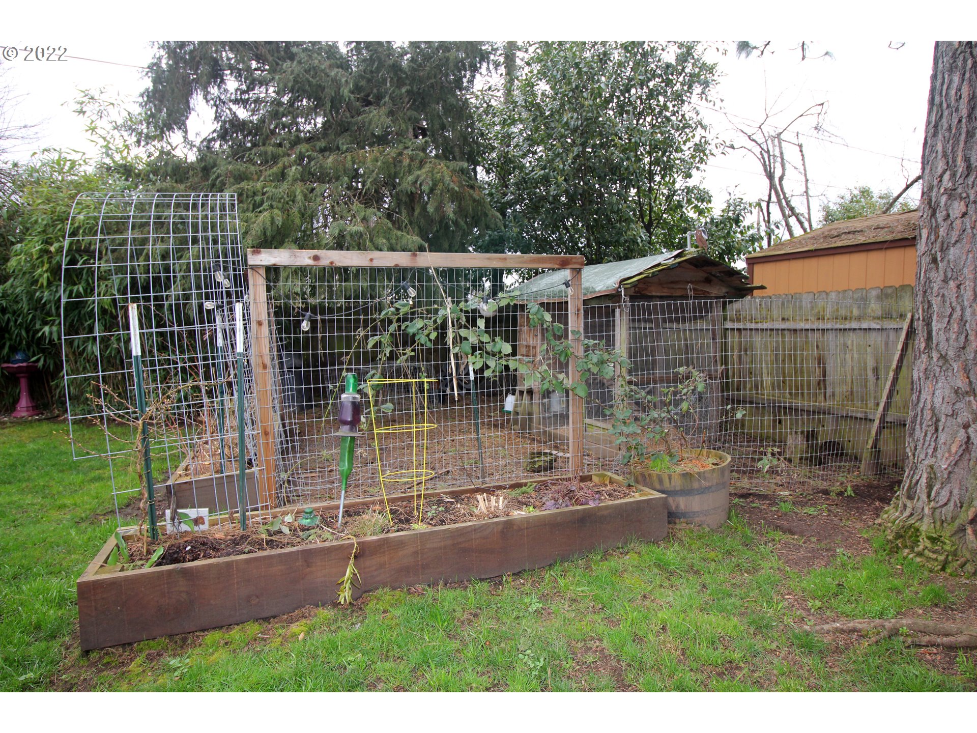 1939 E Street Springfield, OR 97477 - Photo 32 of 32 a view of outdoor space with backyard and garden