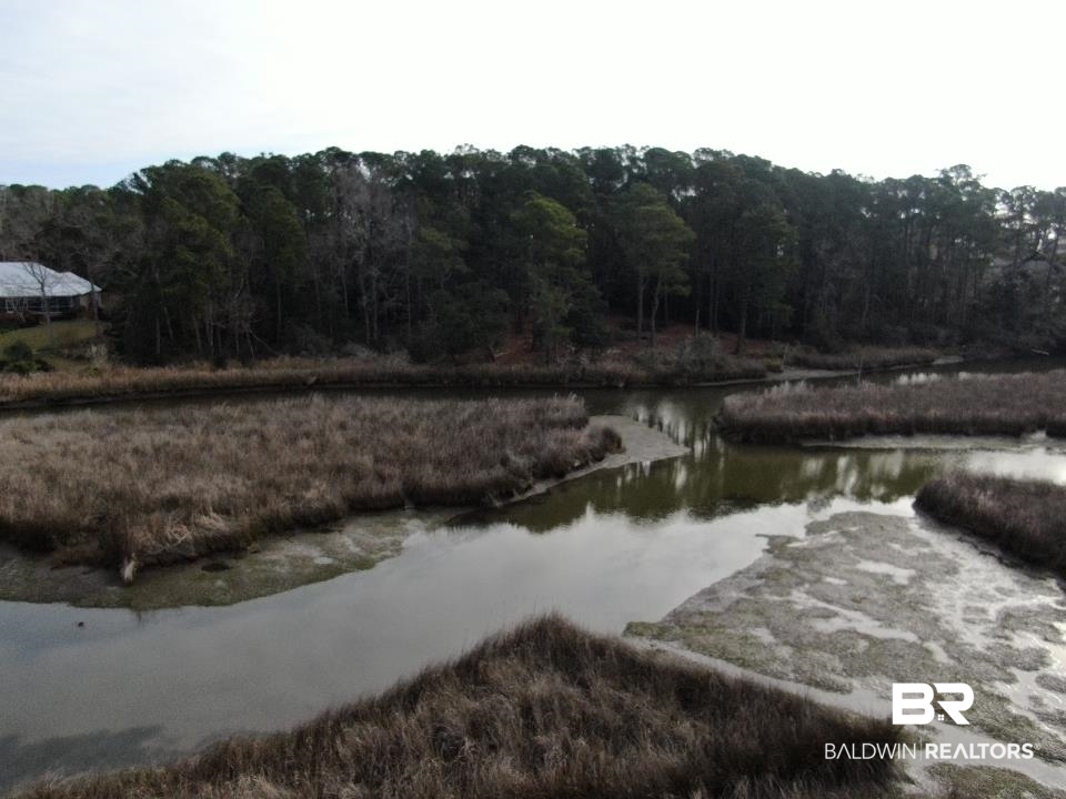 Riverview Nursery Road Theodore, AL 36582 - Photo 4 of 24