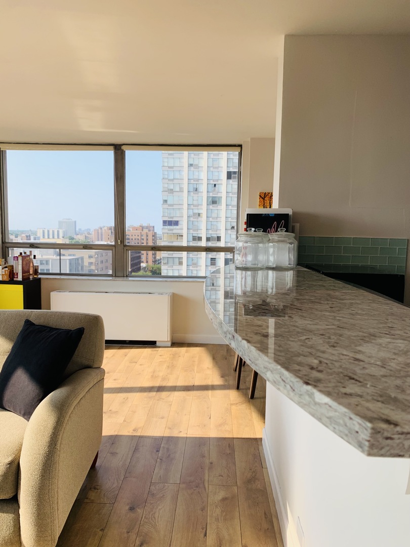5701 North Sheridan Road, Unit 14B Chicago, IL 60660 - Photo 11 of 35