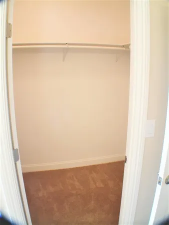 a bathroom with a sink and a shower