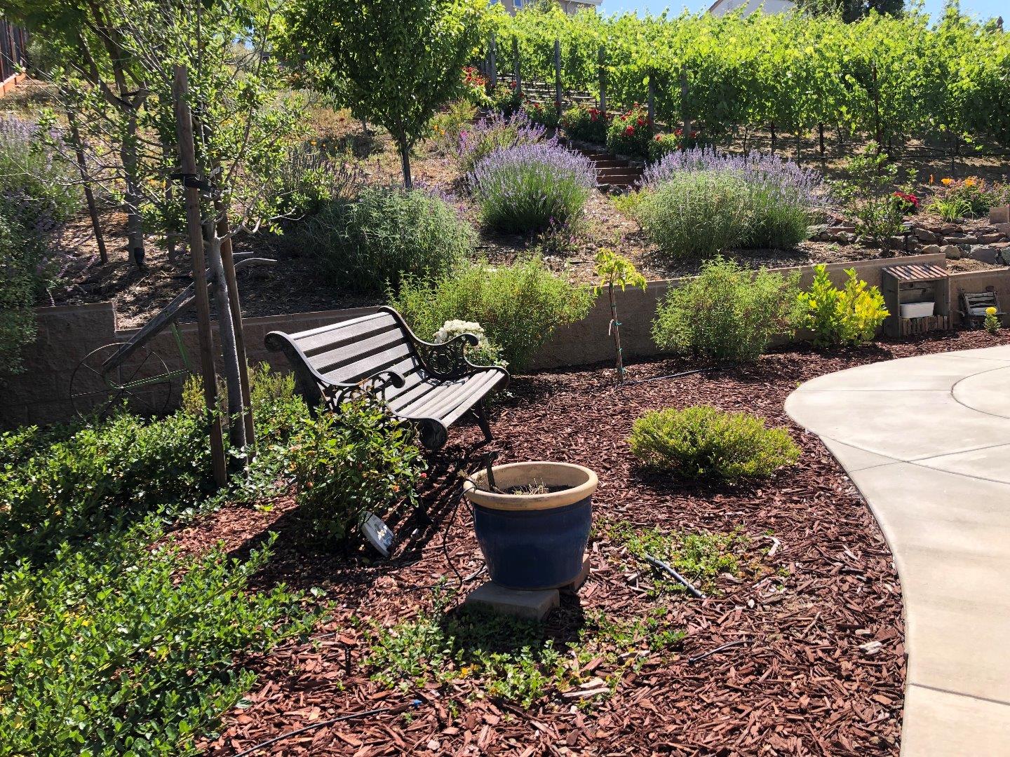 7247 Pitlochry Drive Gilroy, CA 95020 - Photo 36 of 44 a view of a backyard with plants and a patio