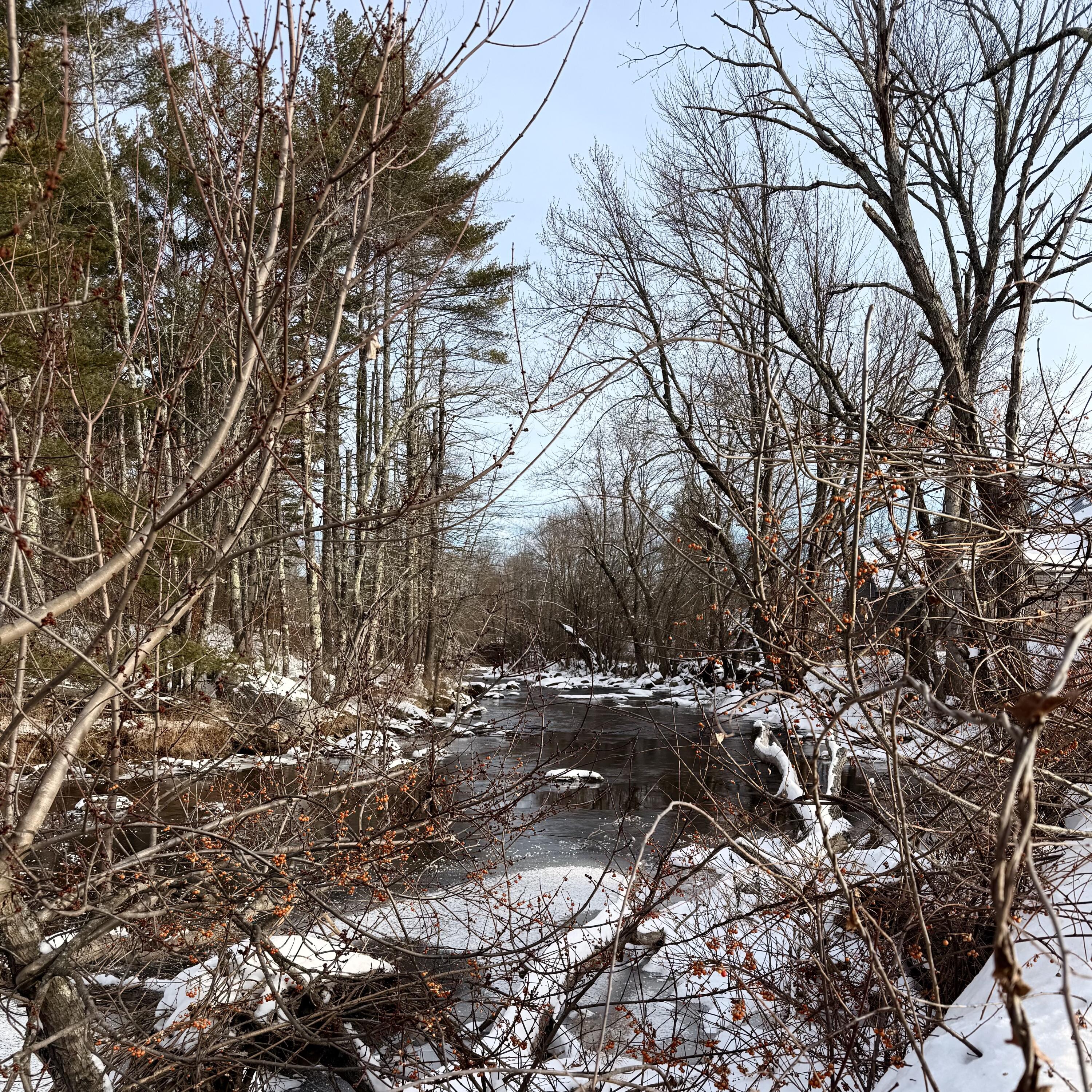 37 Depot Street Buckfield, ME 04220 - Photo 2 of 27 River 2