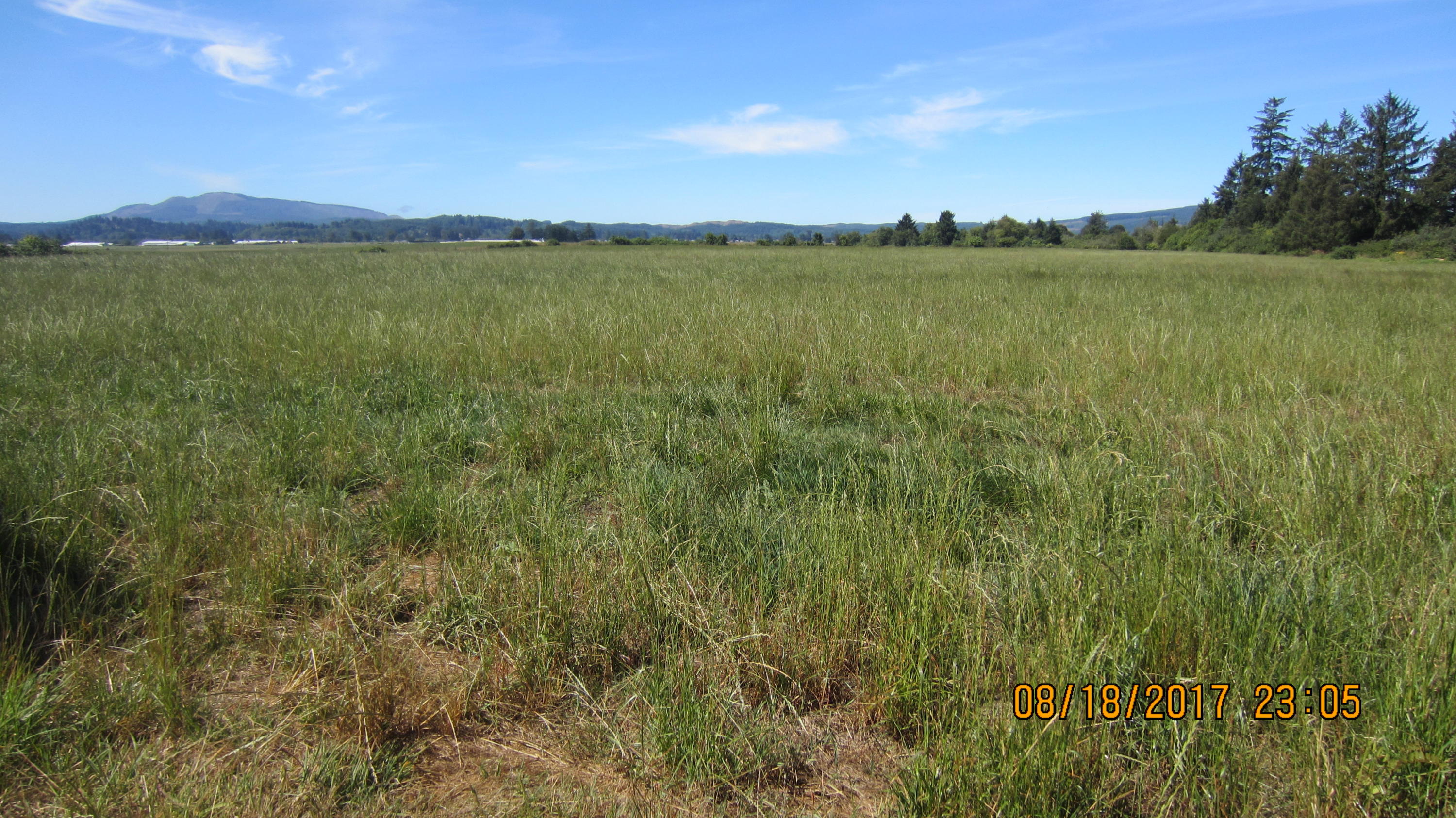 V/l McCormick Loop Road Tillamook, OR 97141 - Photo 4 of 5 IMG_1582