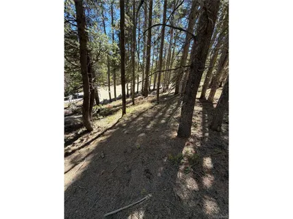 a view of a backyard with trees