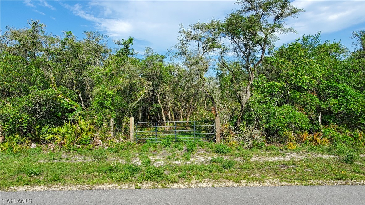 8115 Shasta Street Webster, FL 33597 - Photo 11 of 11 a backyard of a house with lots of green space